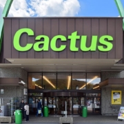 Cactus